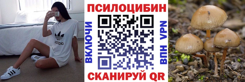 кракен   Кукмор  Псилоцибиновые грибы GOLDEN TEACHER 